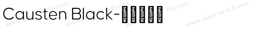 Causten Black字体转换